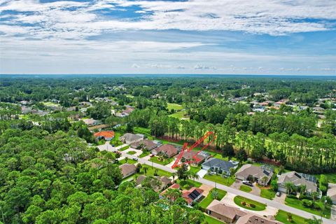 A home in PALM COAST