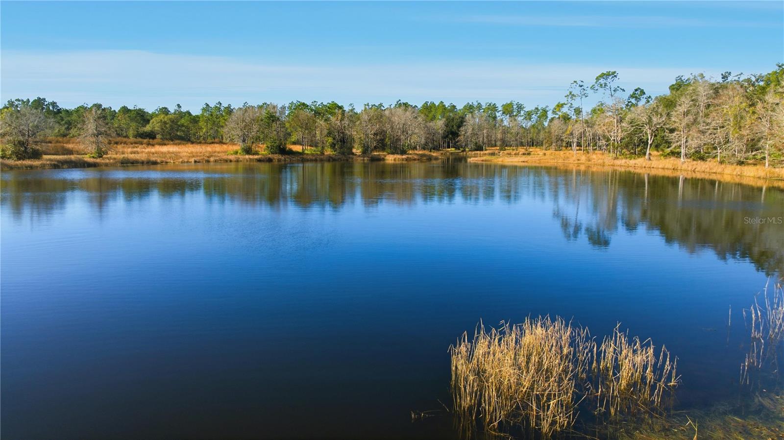 TBD (Lot 3) NE 115TH LANE ROAD