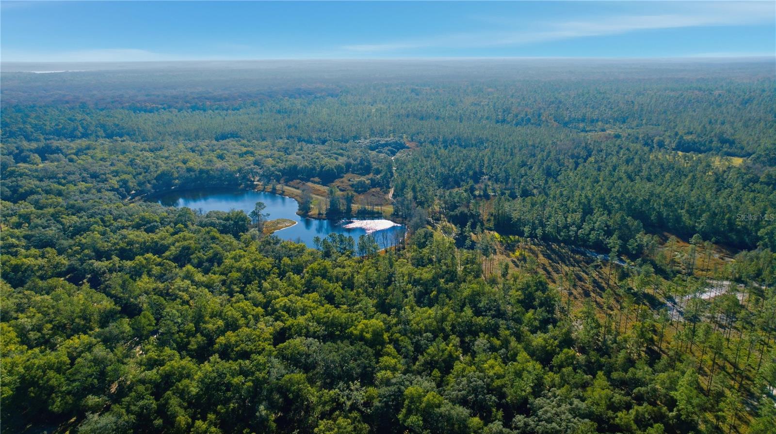 TBD (Lot 3) NE 115TH LANE ROAD