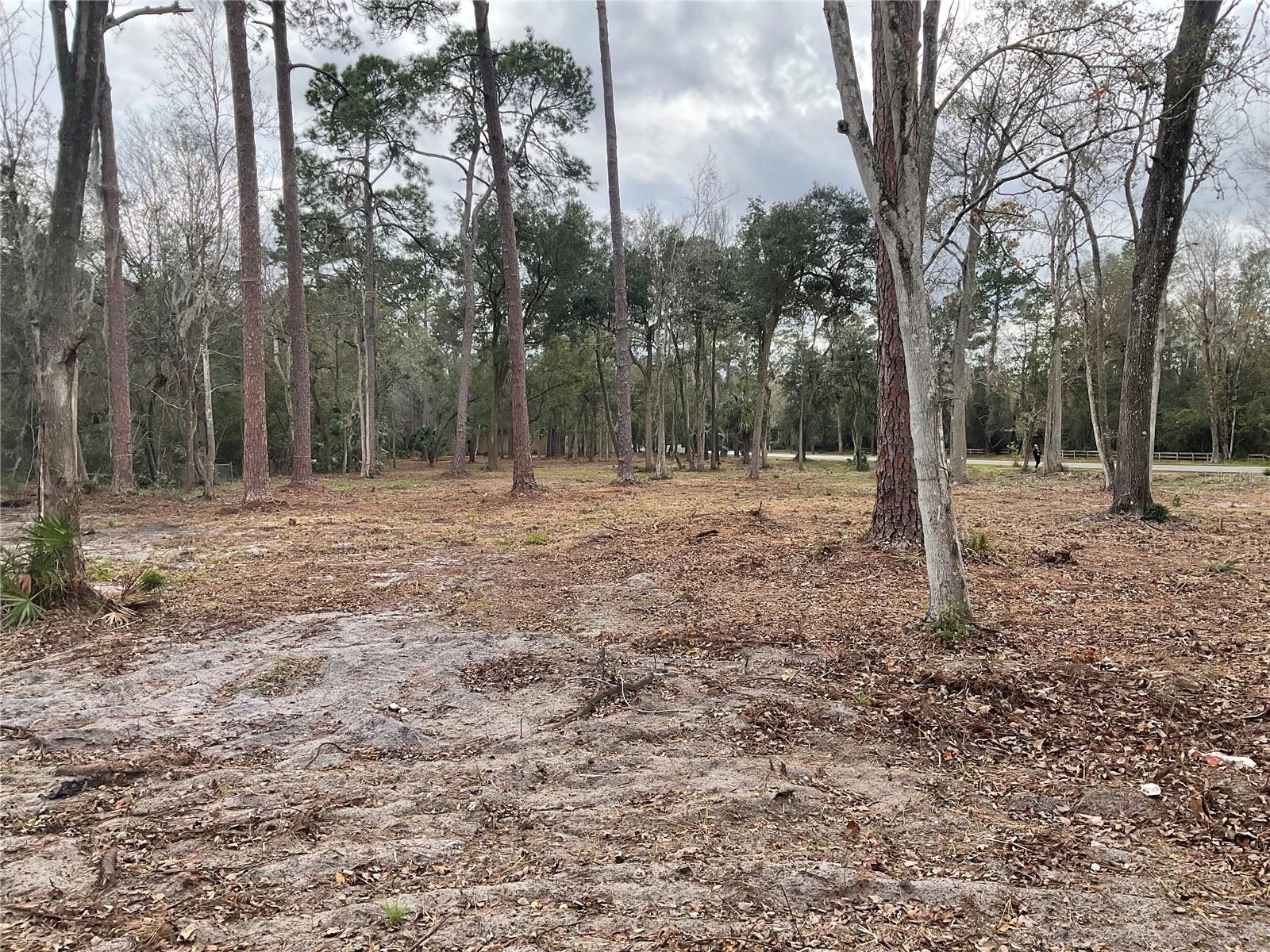 THWAITE ESTATE - Land