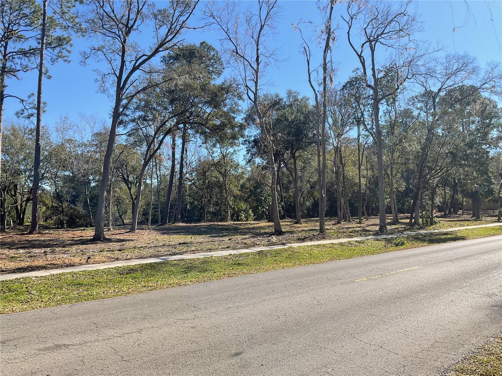 THWAITE ESTATE - Land