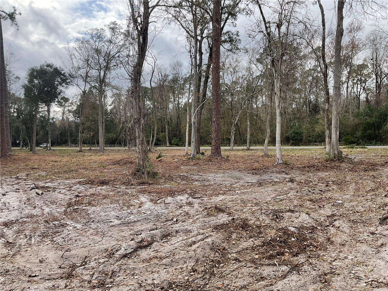 THWAITE ESTATE - Land