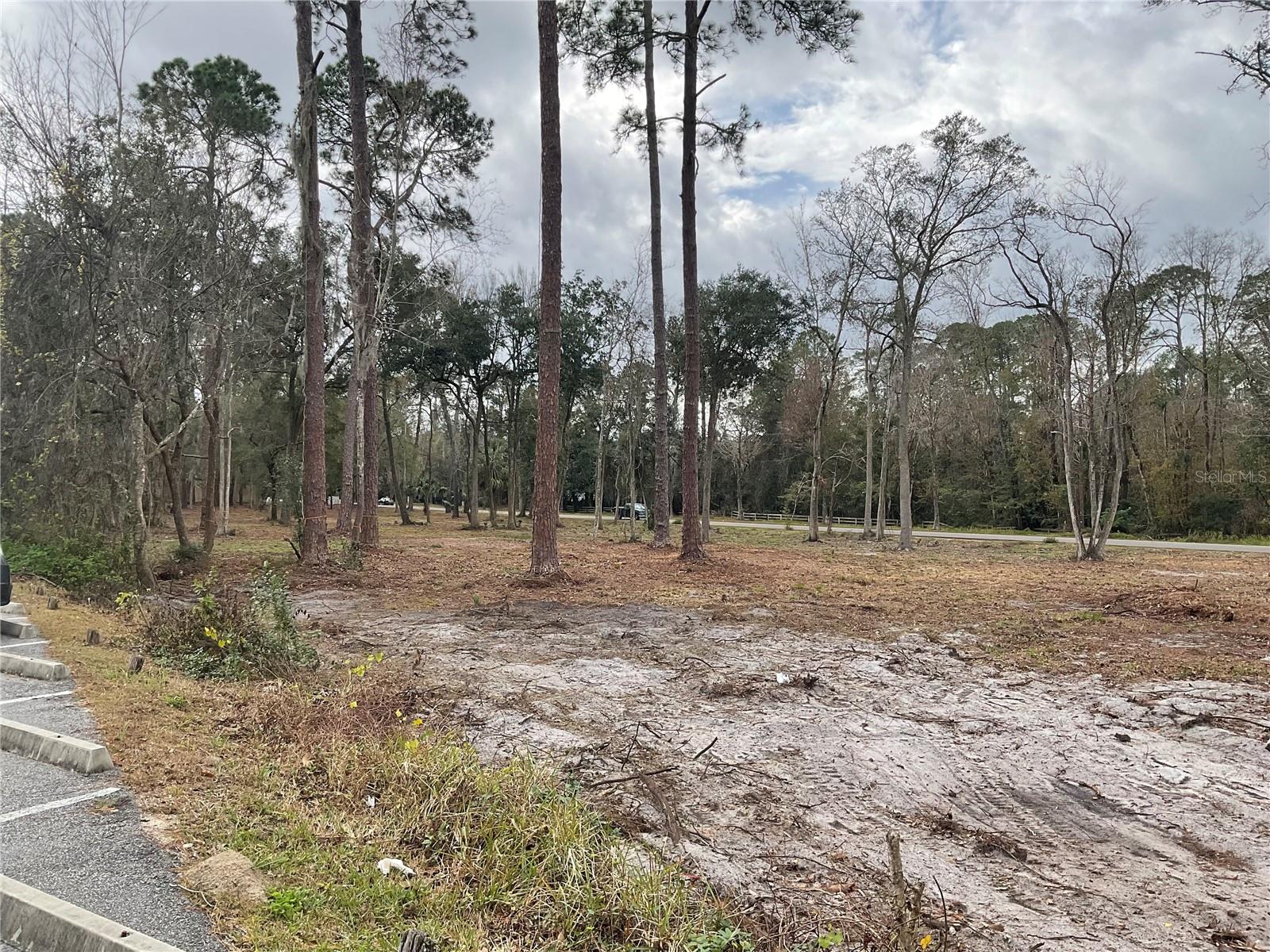 THWAITE ESTATE - Land