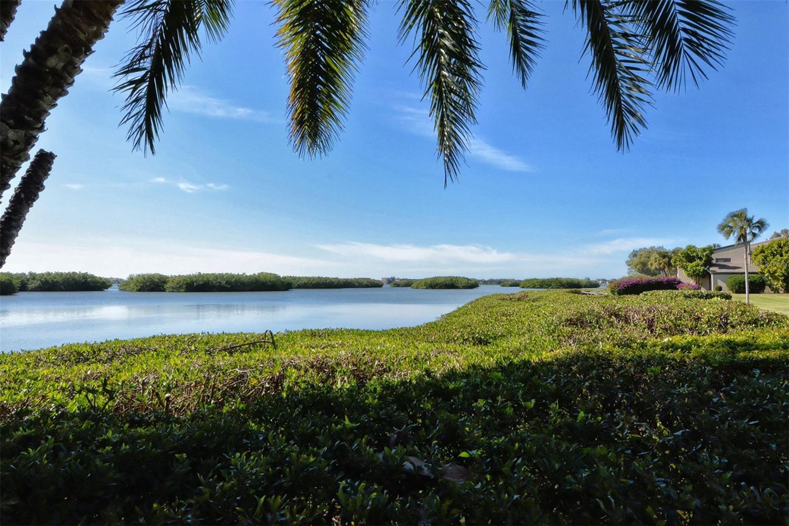 PELICAN COVE IV - Residential