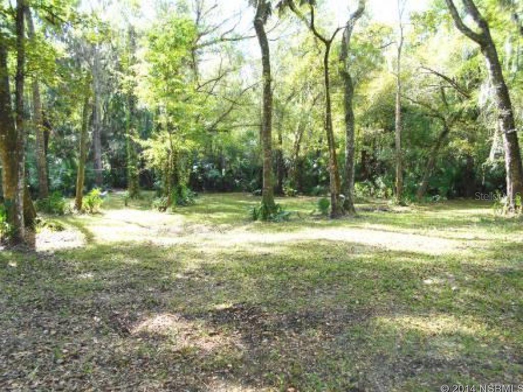 Reed & Gauldens E 01/3 McIntosh Grant - Residential