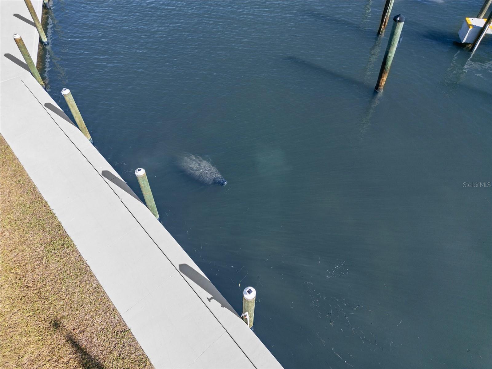 MARINA VILLAGE PH 01 - Residential