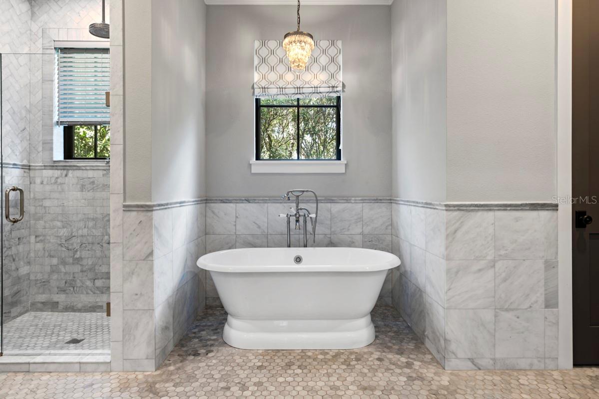 COMSTOCK PARK - Residential