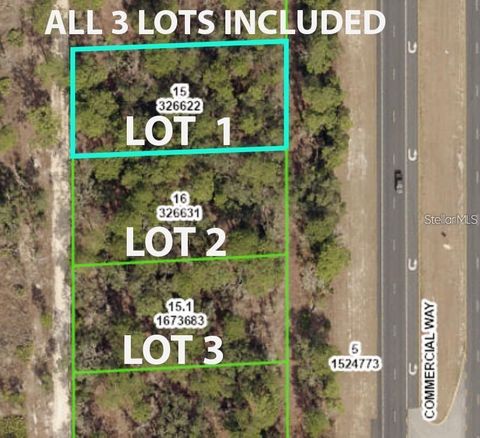 COMMERCIAL WAY WEEKI WACHEE FL 34614