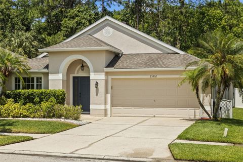 25332 LEXINGTON OAKS BOULEVARD WESLEY CHAPEL FL 33544