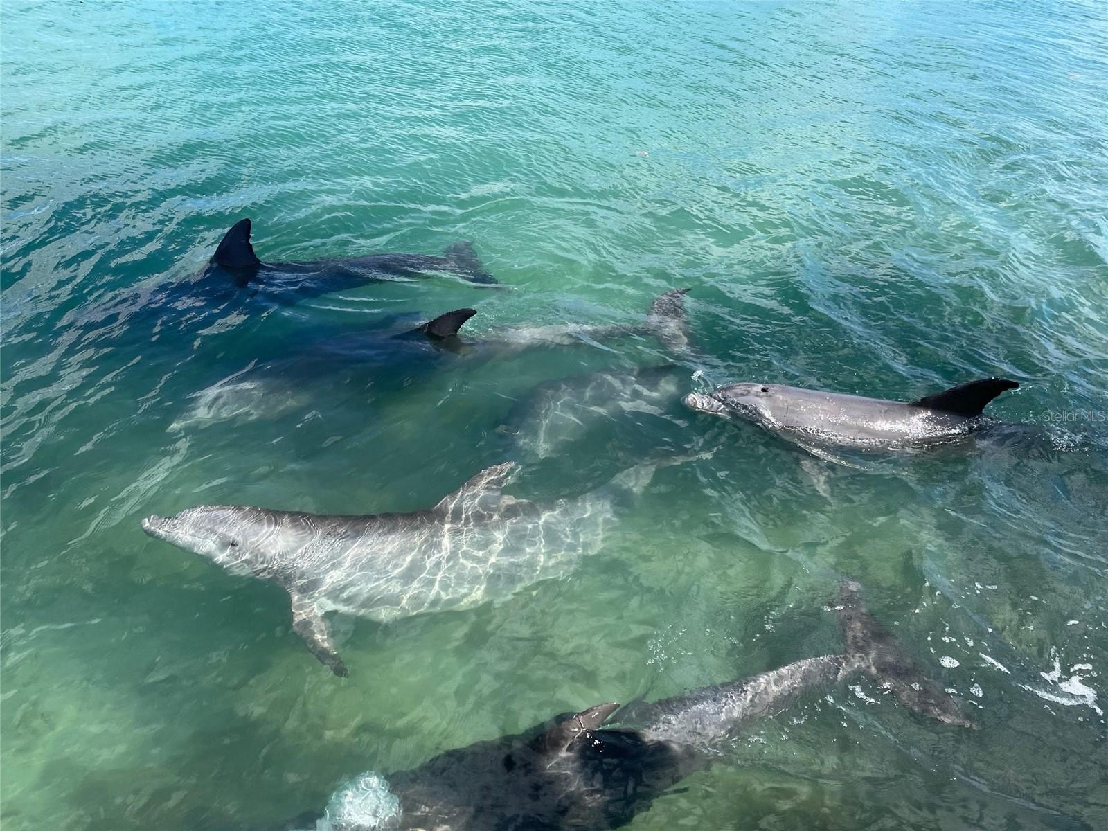 CASEY KEY - Residential