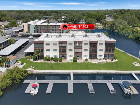 5627 FERGUSON COURT 1303 NEW PORT RICHEY FL 34652