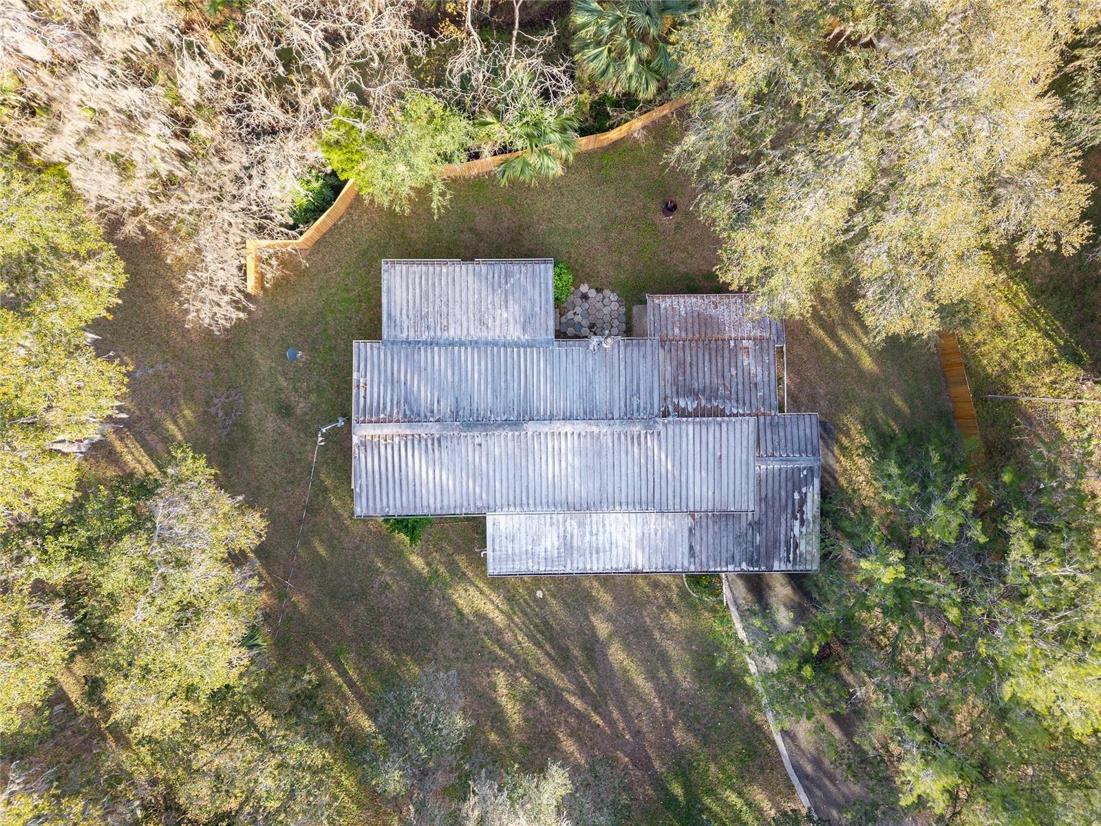 OLIVE PALM - Residential