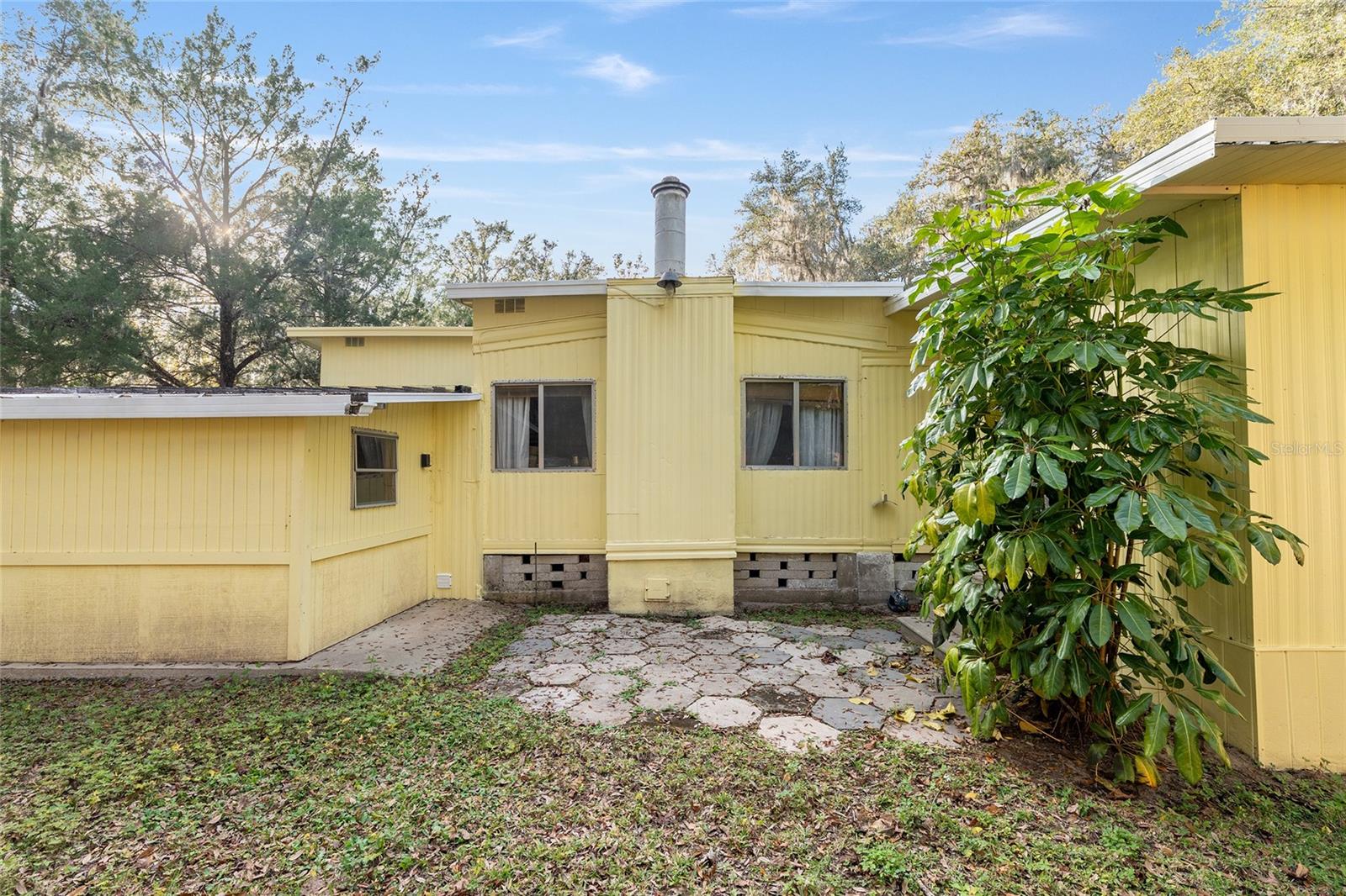 OLIVE PALM - Residential