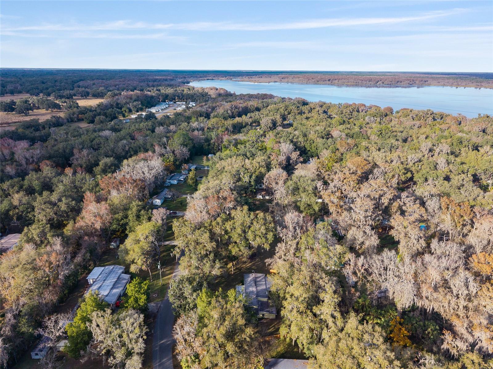 OLIVE PALM - Residential