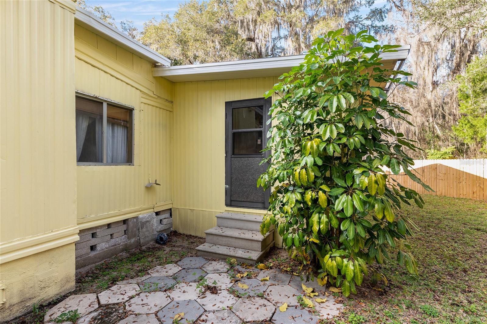 OLIVE PALM - Residential