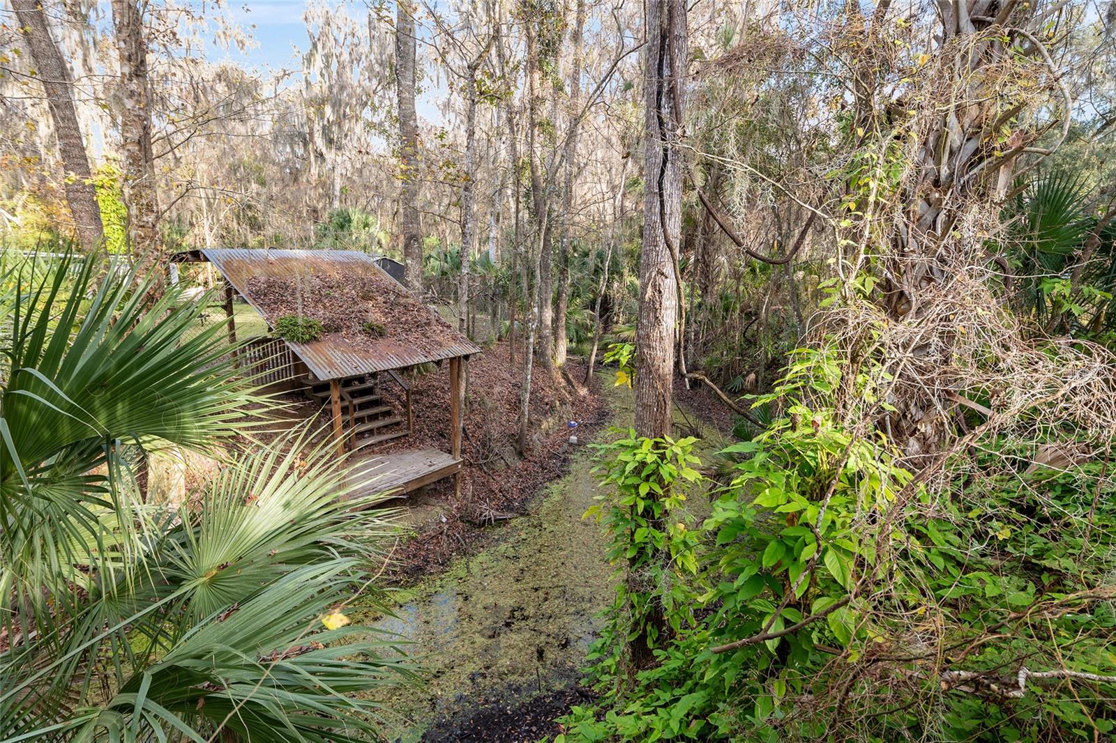 OLIVE PALM - Residential