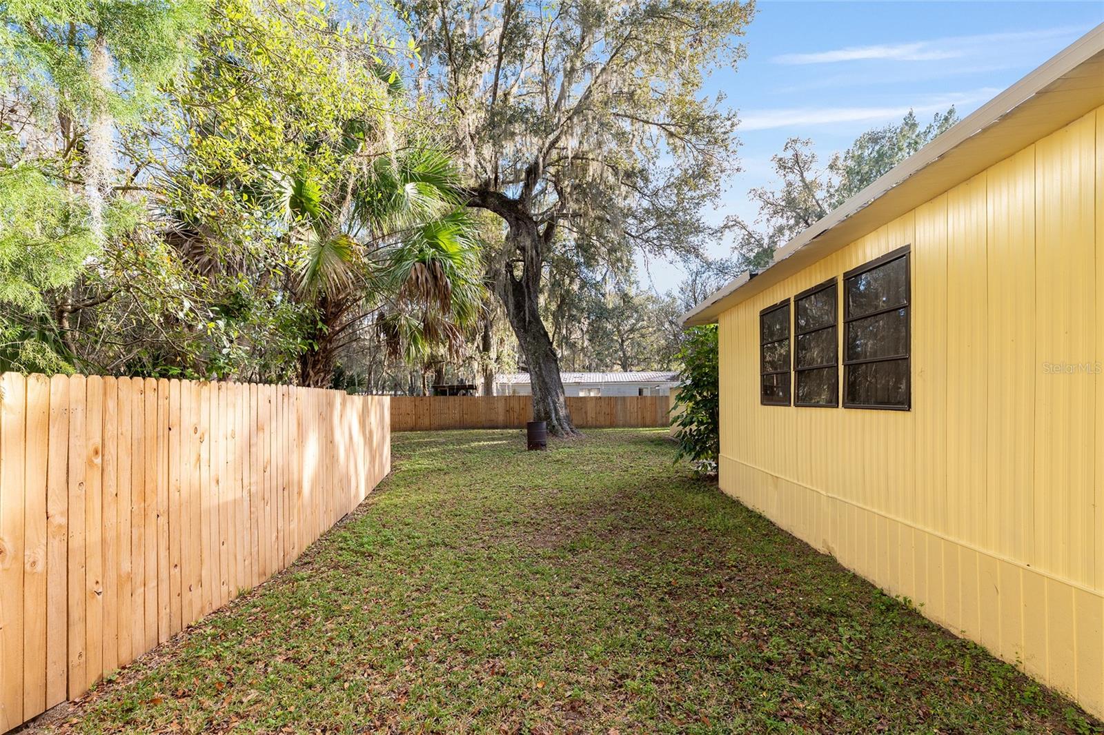 OLIVE PALM - Residential