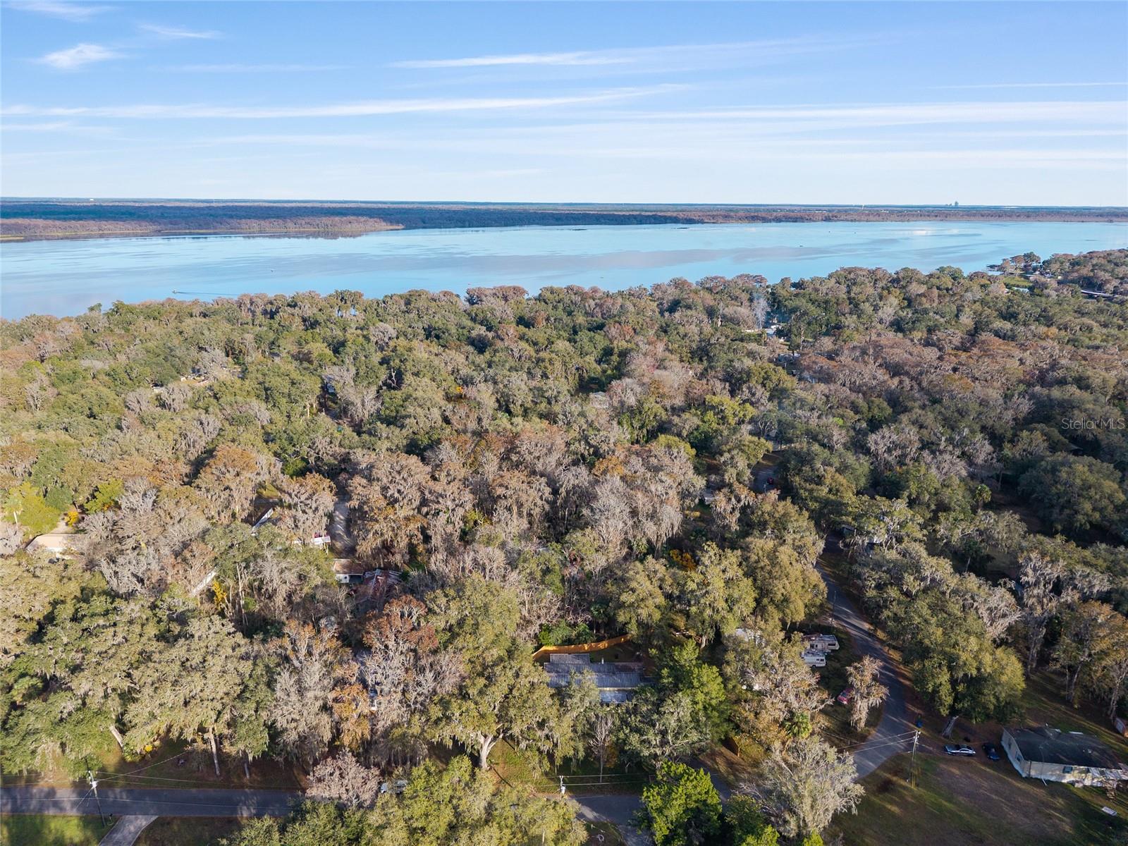 OLIVE PALM - Residential