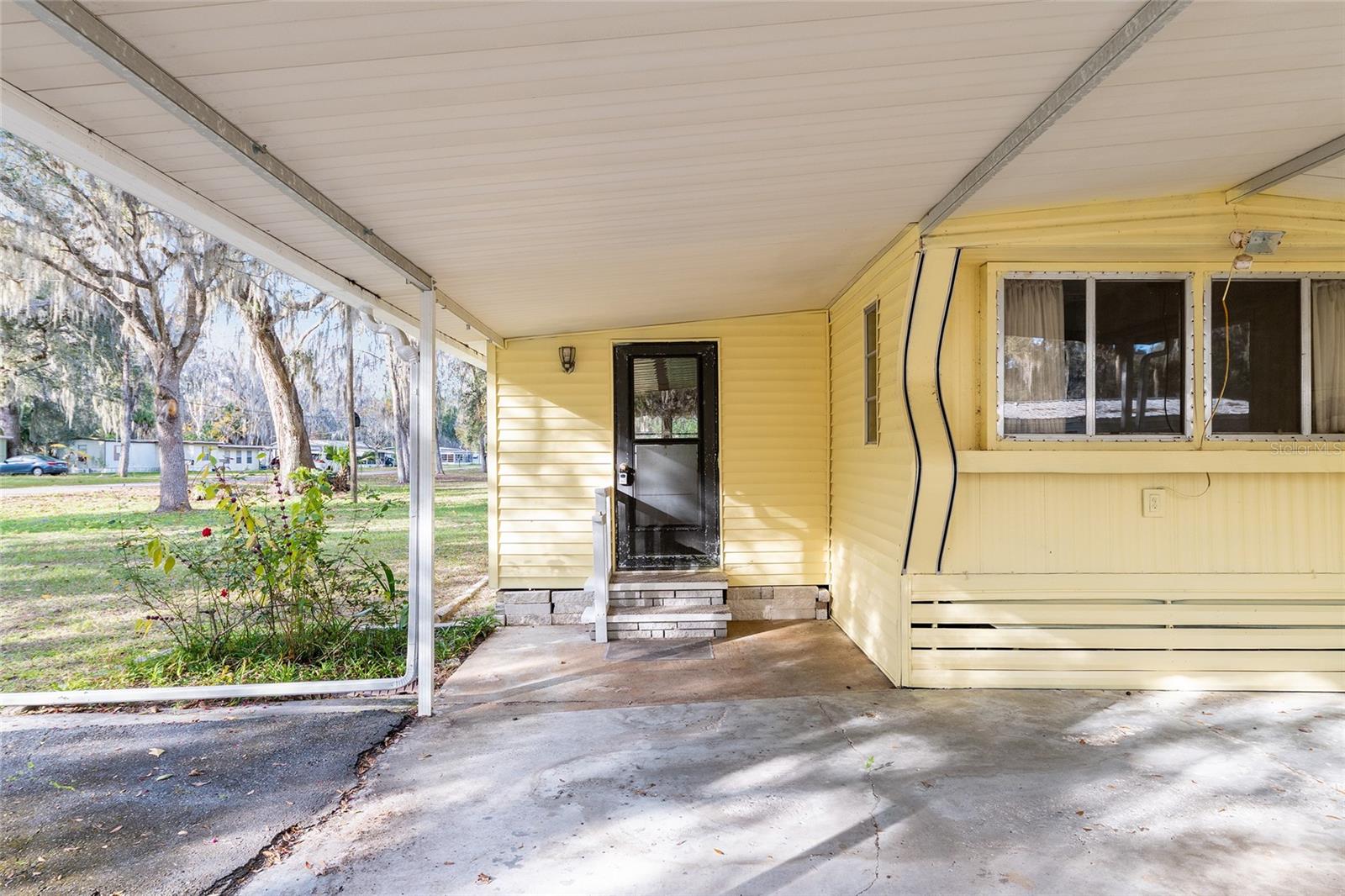 OLIVE PALM - Residential