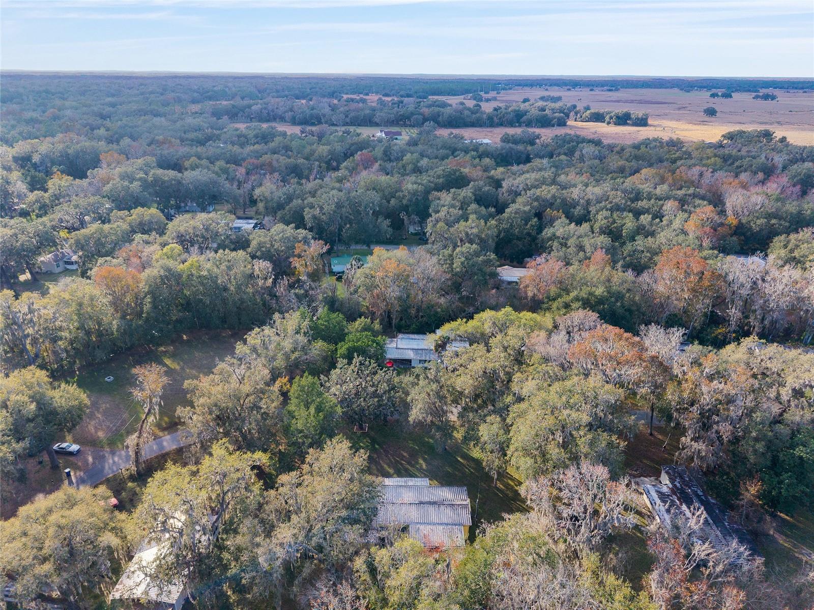 OLIVE PALM - Residential