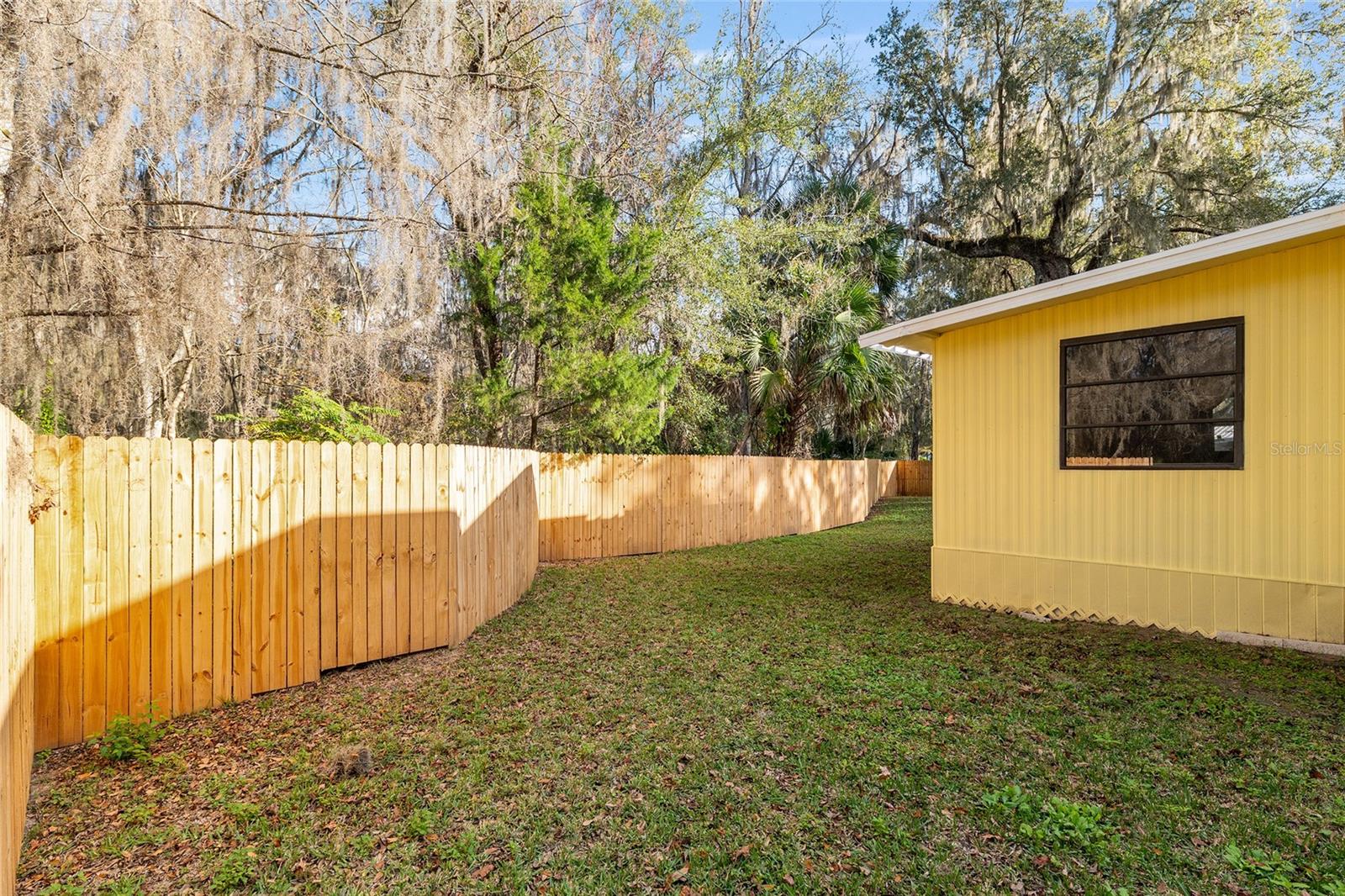 OLIVE PALM - Residential