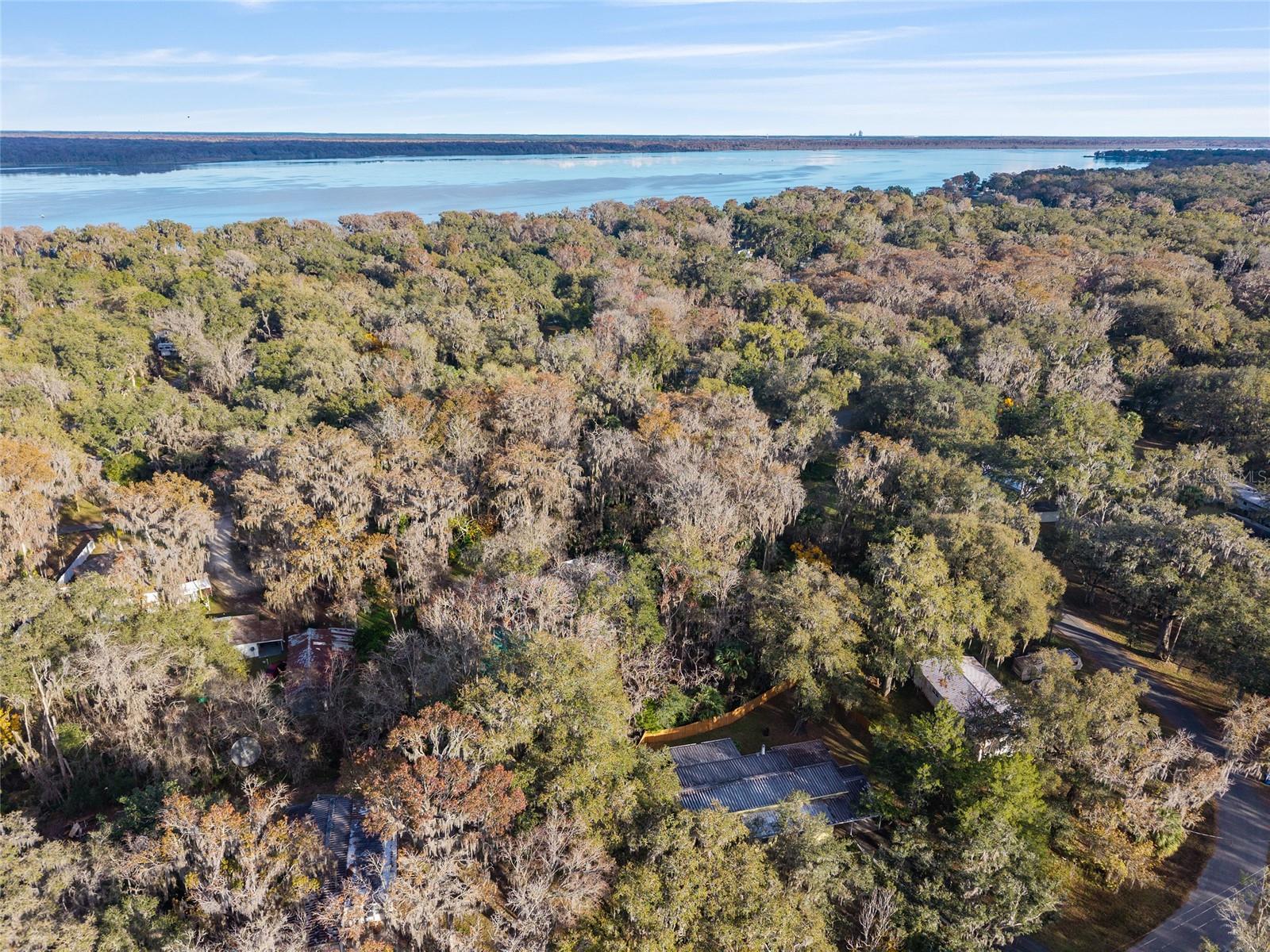 OLIVE PALM - Residential