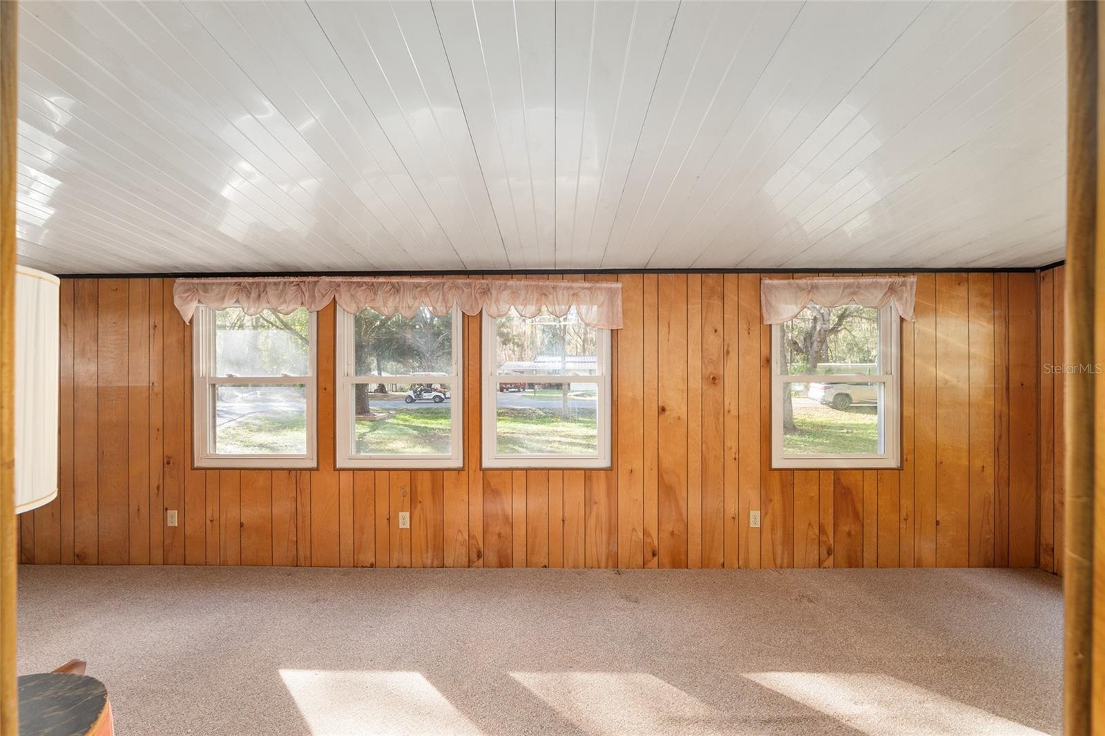 OLIVE PALM - Residential