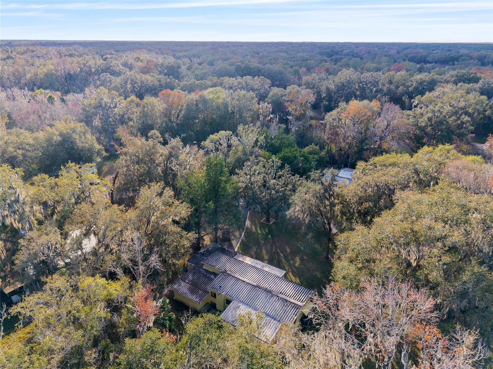 OLIVE PALM - Residential