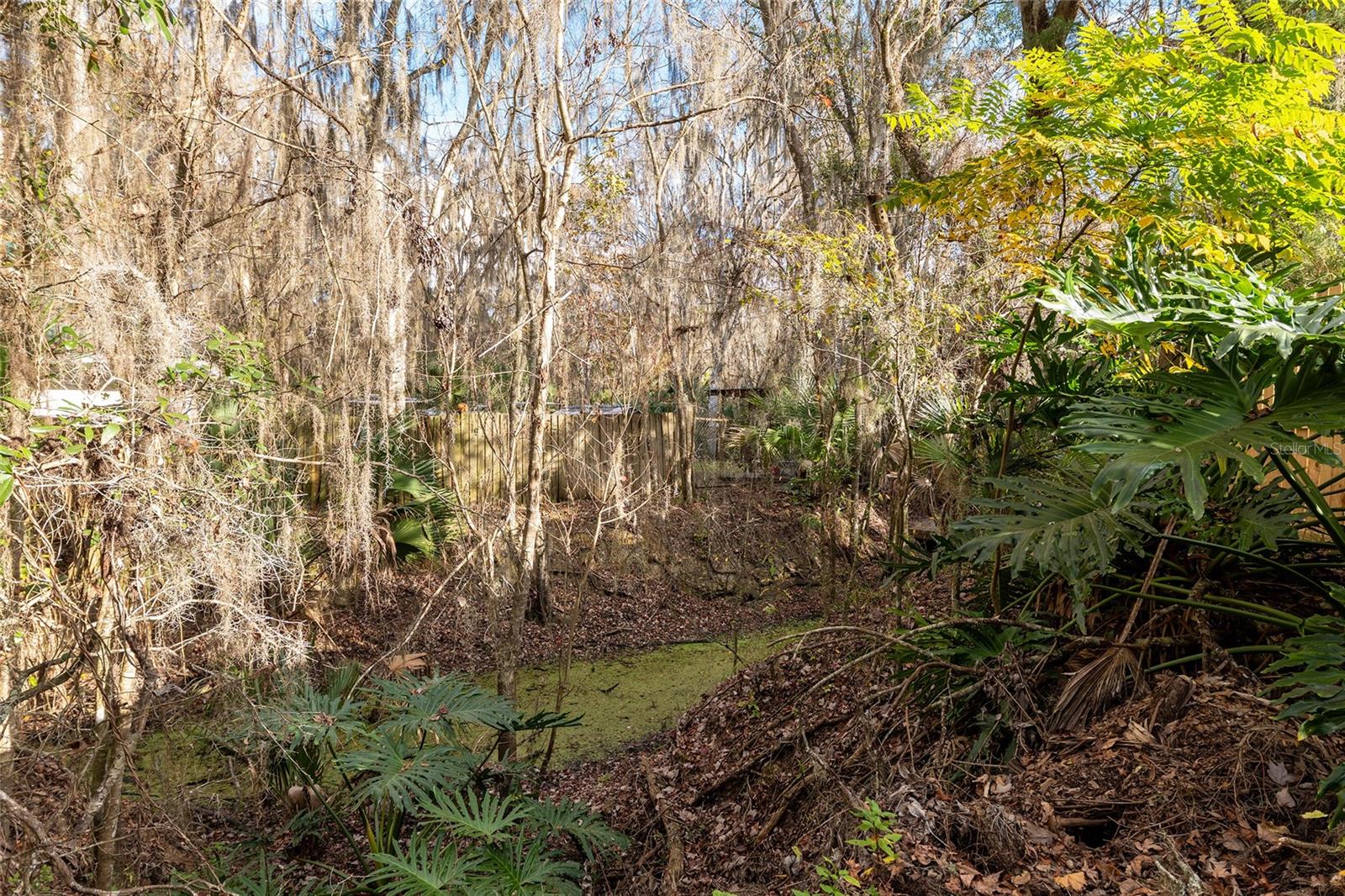 OLIVE PALM - Residential