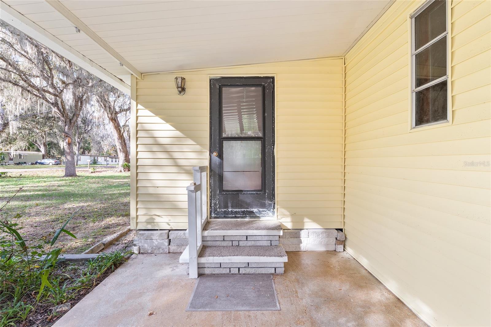 OLIVE PALM - Residential