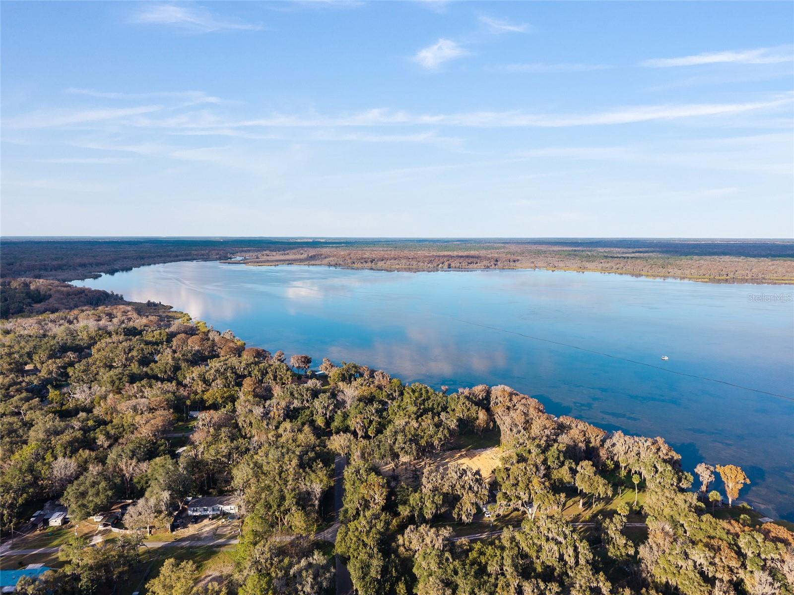 OLIVE PALM - Residential