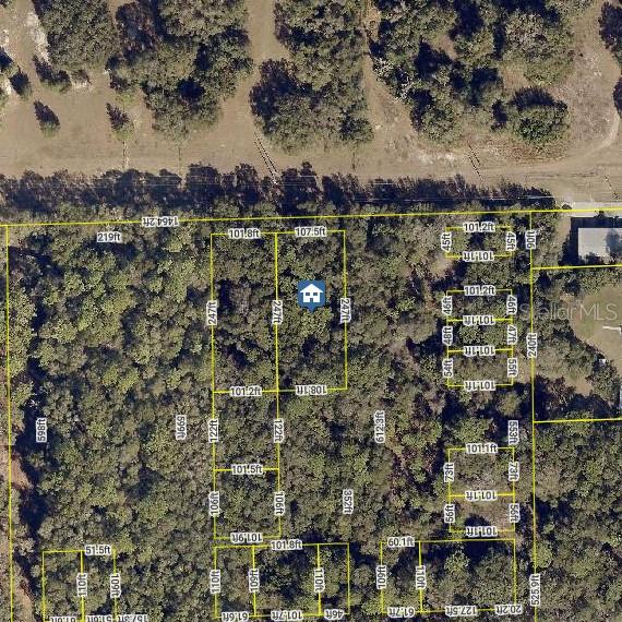 Secluded and unimproved .68-acre wooded lot in an undeveloped area. Located just minutes to all shops, restaurants, major amenities and just minutes to downtown historic Deland. Great for future investment and use.