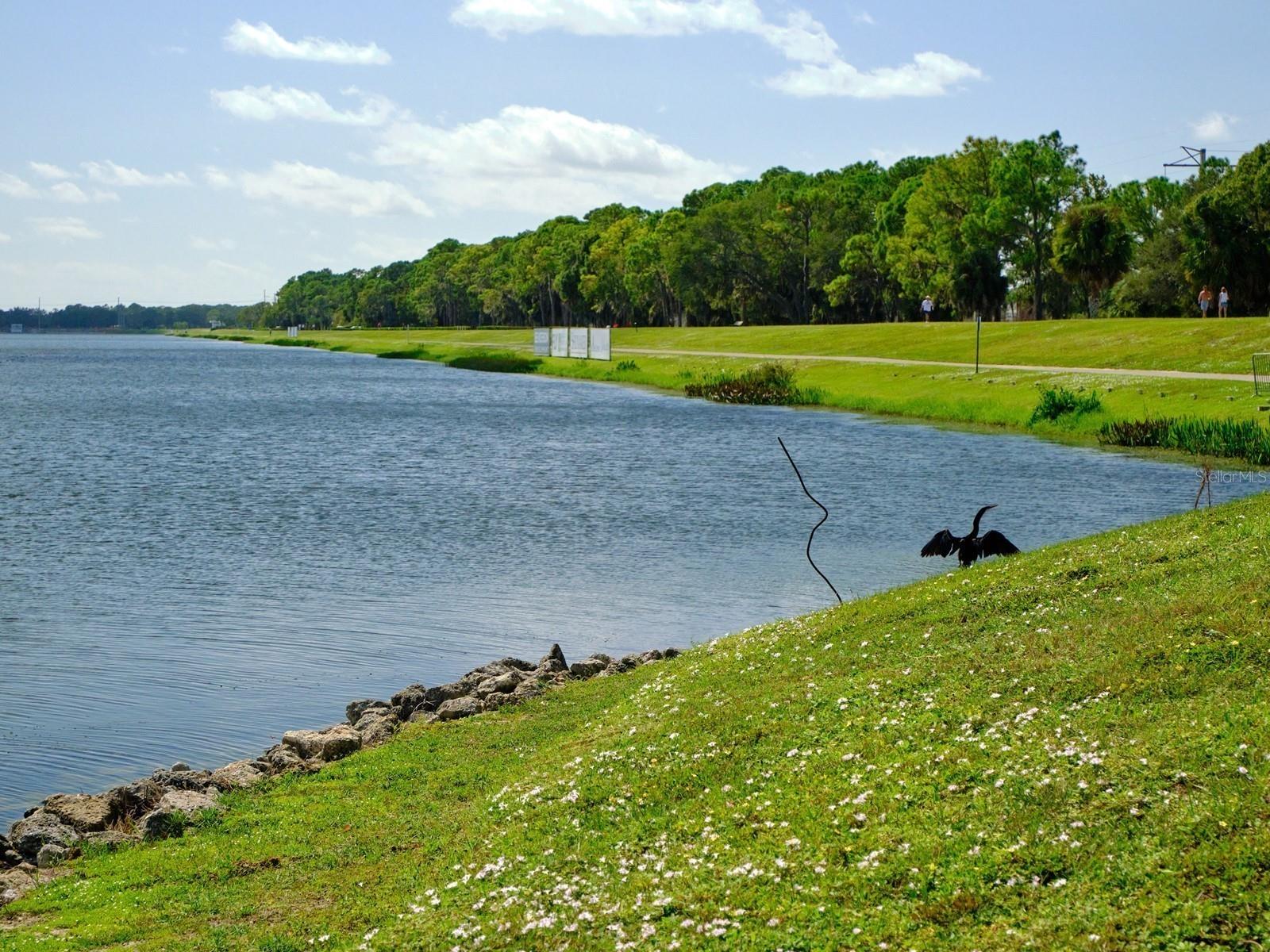 CHANTECLAIRE, THE MEADOWS - Residential Lease