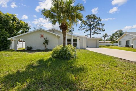 A home in PALM COAST