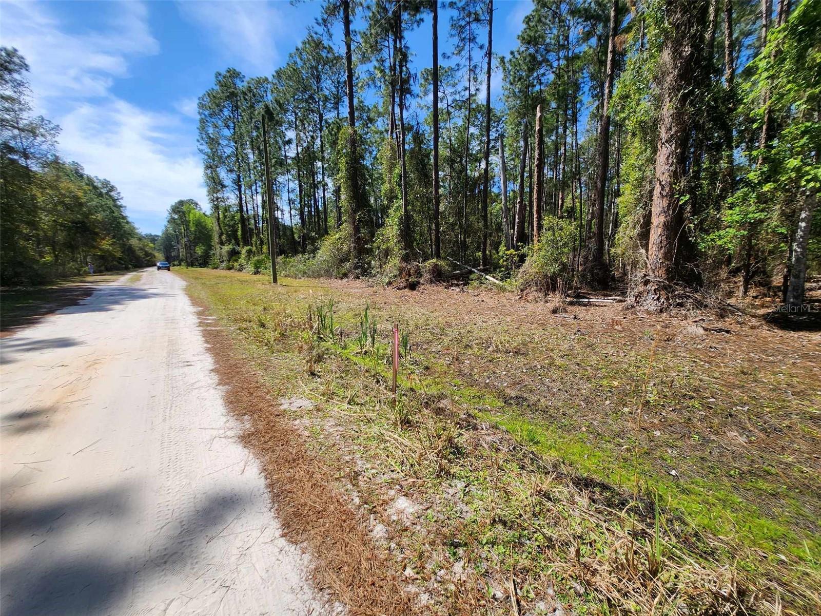 Private, Quiet, and Serene ... this property is now available for purchase individually or combined with two adjacent parcels, each listed separately. Lots are 75' wide x 135' deep, side x side totaling 225' road frontage. Ideal set up if you're looking for privacy from neighbors, or if you just like more land surrounding your soon to be homestead. Currently wooded, raw land with no improvements, although electrical poles are present across the street. All 3 parcels are 112, 114, and 116 Mosswood Street, Georgetown, FL.
*Property Boundary Survey available.