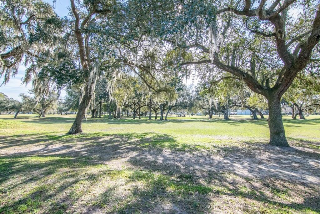 LAKE BETMAR ESTATES - Residential