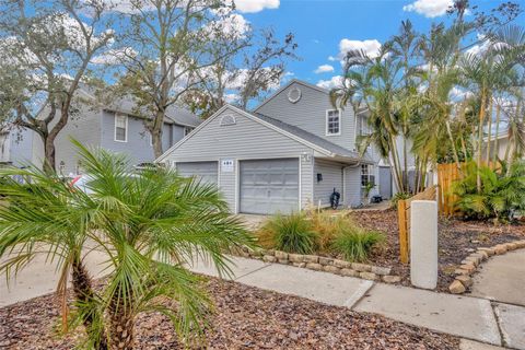 A home in TAMPA