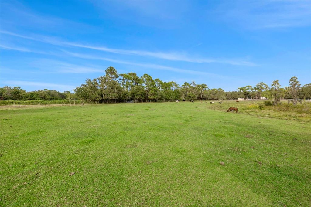 Photo of 19050 Tyler Road, Odessa, FL 33556 (MLS # TB8344685)