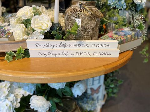 Tiny photo for 24 E Magnolia Avenue #5, Eustis, FL 32726 (MLS # G5096024)