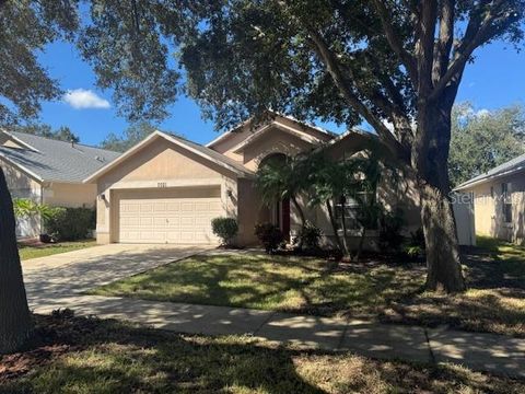 Photo of 7021 Colony Pointe Drive, Riverview, FL 33578 (MLS # TB8433624)