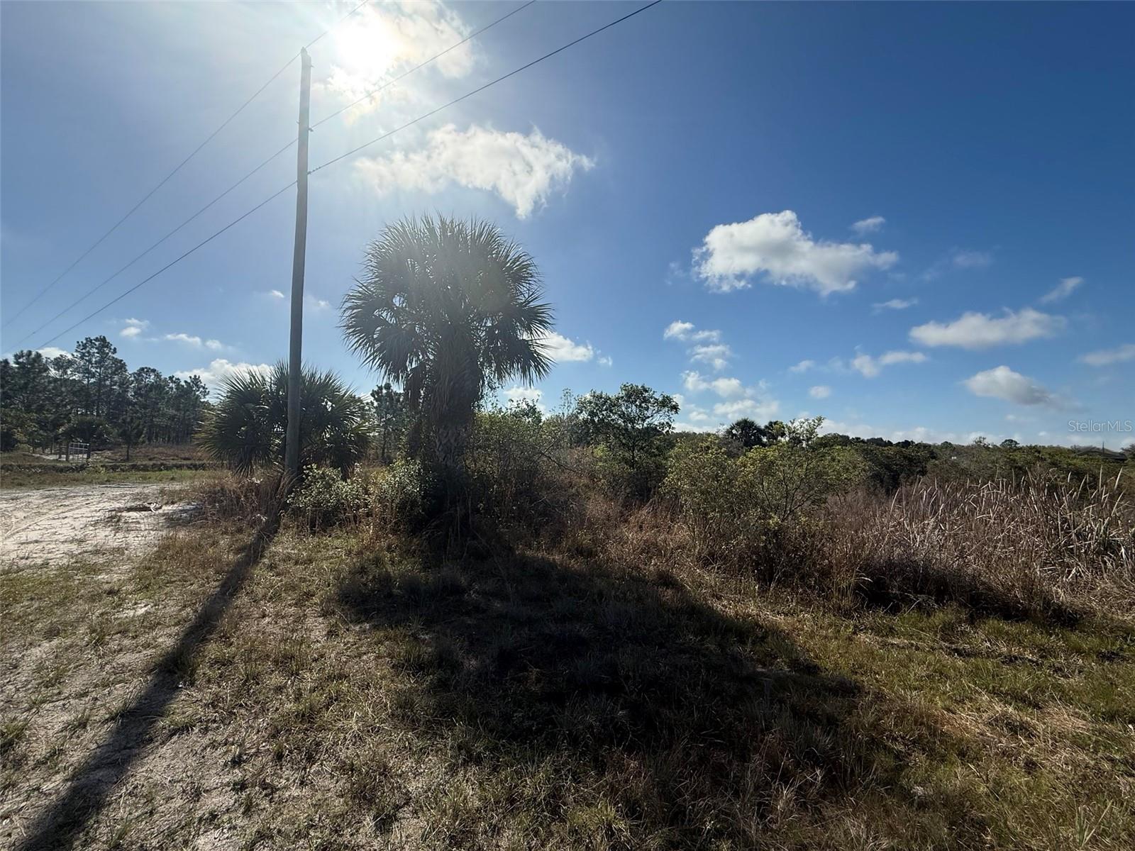 SOUTHERN COLONIZAT CO - Land