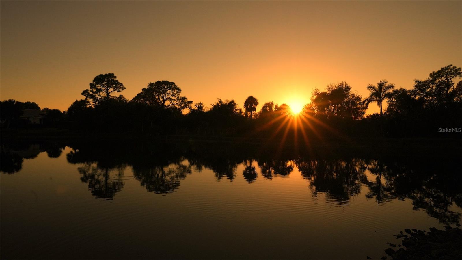 SILVER OAK   ENCLAVE AT SILVER OAK - Residential