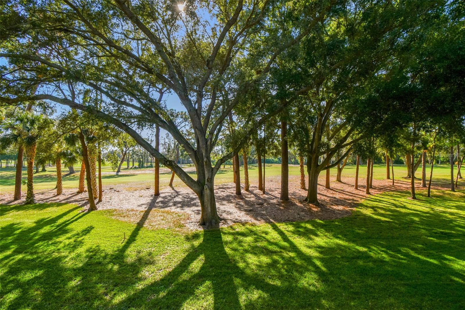 INNISBROOK 09 CONDO - Residential