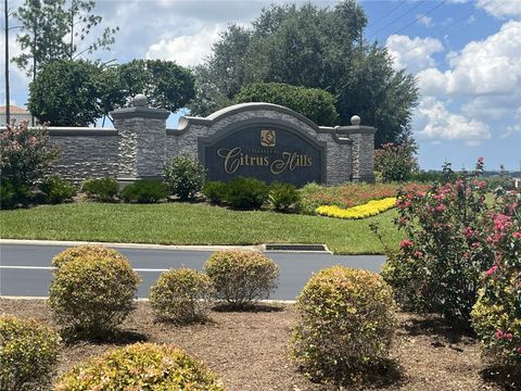 Photo of 587 N Riva Ridge Path, Inverness, FL 34453 (MLS # O6318530)