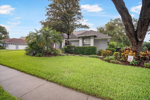 A home in VALRICO