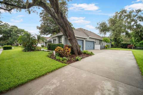 A home in VALRICO