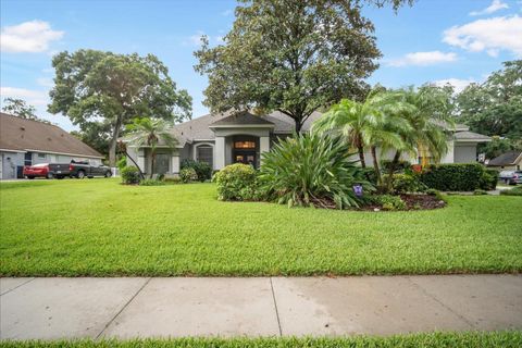 A home in VALRICO