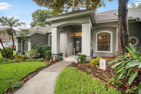 A home in VALRICO