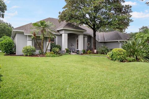 A home in VALRICO