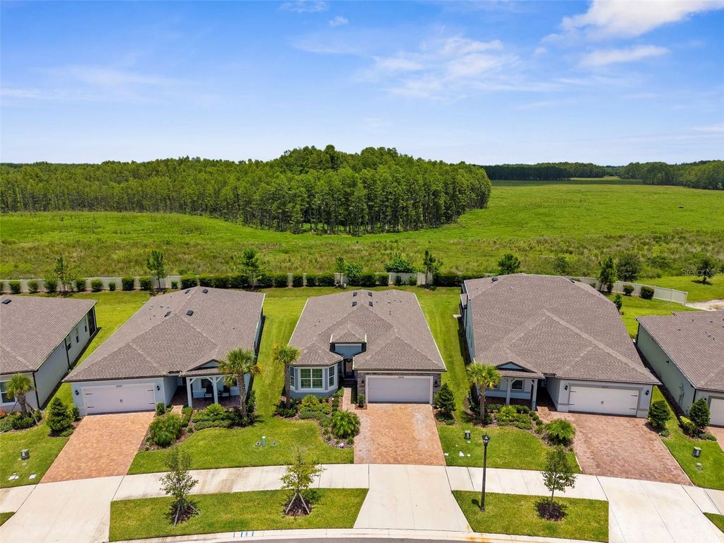 Photo of 20065 Sea Glass Circle, Land O Lakes, FL 34638 (MLS # TB8408163)